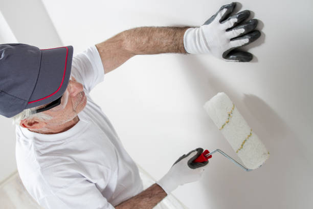 Best Mold Removal for HVAC Installations  in Westwood, KY