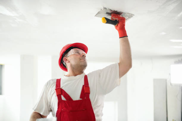 Best Mold-Related Health Consultation  in Westwood, KY