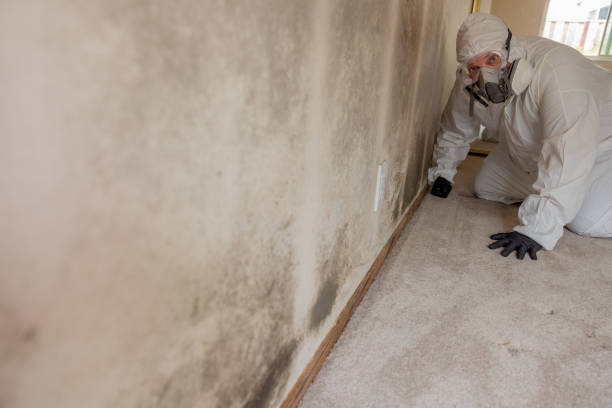 Best HVAC Mold Inspection and Cleaning  in Westwood, KY