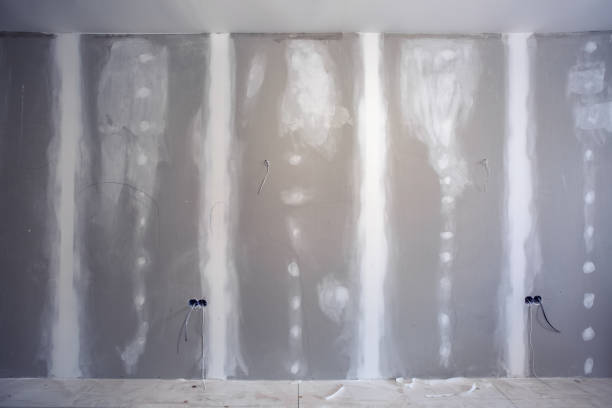 Best Mold Damage Restoration  in Westwood, KY